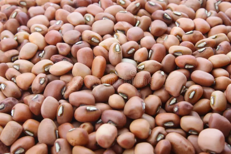 Redcow Pea Beans